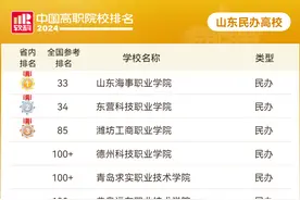 2024软科中国高职院校排名发布，山东情况如何——图片