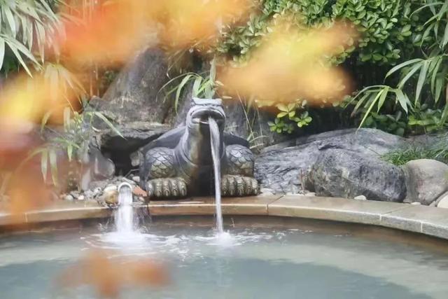 初冬的第一场旅行不如“进山游”→