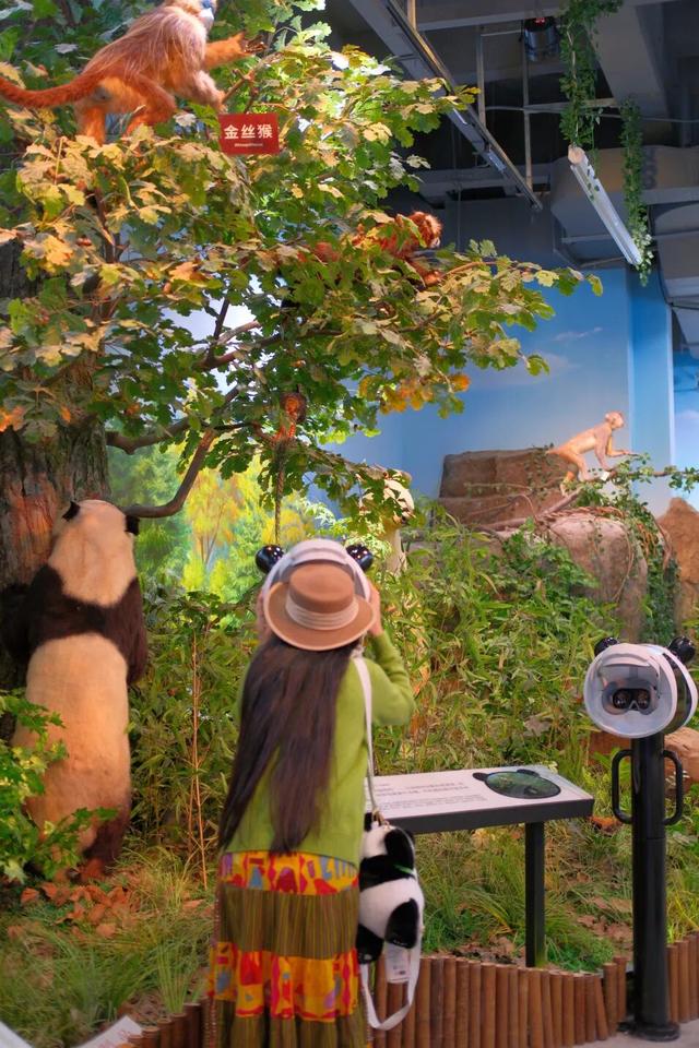 欢迎来到熊猫的家！保姆级攻略请收好！