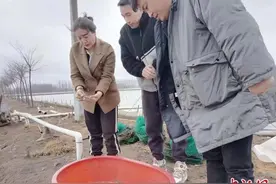 甘肃天水返乡妹探“南蟹北养”：从被夹的满手是血到订单生产图片