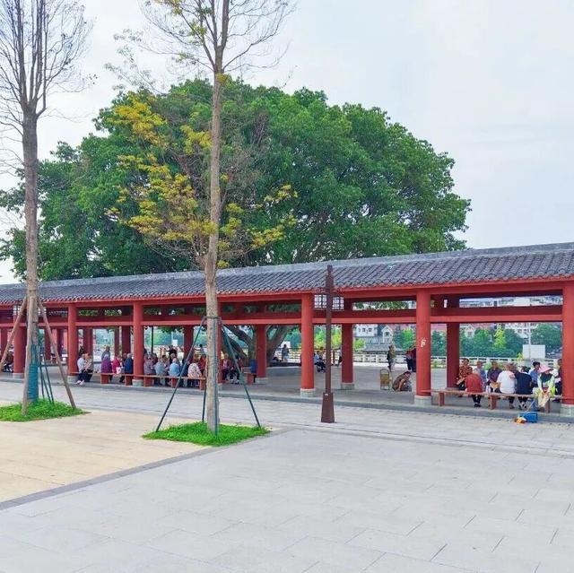 纪信广场+莲花湖公园，藏在你身边的“城市慢生活”图鉴！