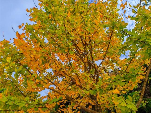 信宜这条“黄金走廊”很出片