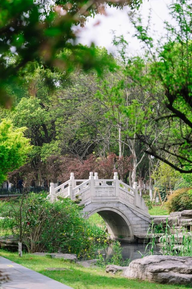 在运河畔，把初夏走了个遍！