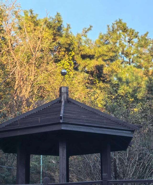 市北“拍了拍”你，抓住秋天的小尾巴