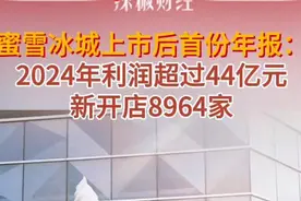 蜜雪冰城上市后首份年报：2024年利润超过44亿元图片