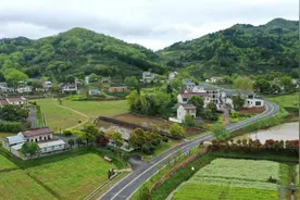 拟全国表彰！庐江上榜图片