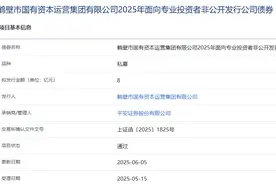 鹤壁国资集团拟发行8亿元公司债，获上交所通过图片