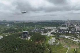 王多鱼神预言！这个项目真成了！图片