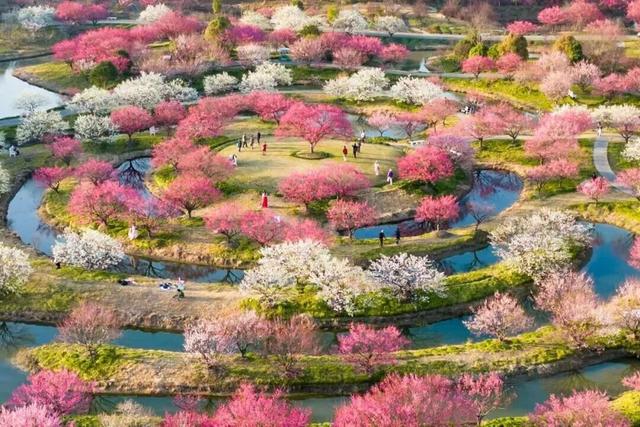 【看东方游上海：旅超大PK】新春攻略今日开启！看奉贤与金山的海派年味秘笈