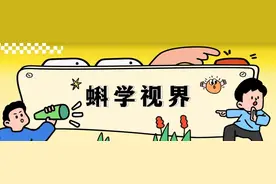 鱼的记忆只有七秒？其实他们也会学习！图片