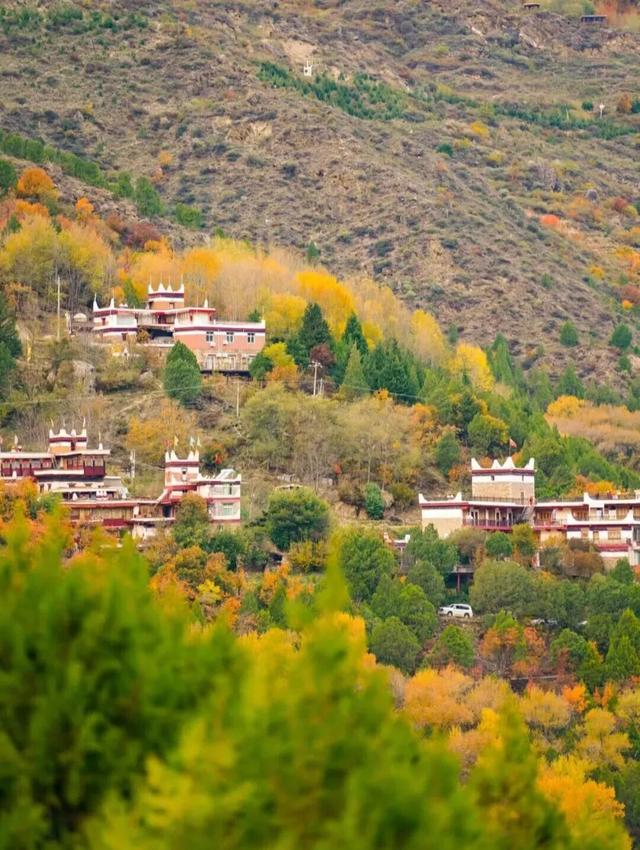 美上央视的秋景，这十条路线请你选！