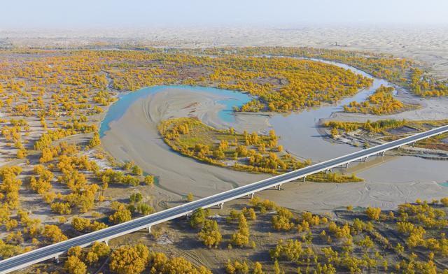 新疆：沙漠胡杨入画来