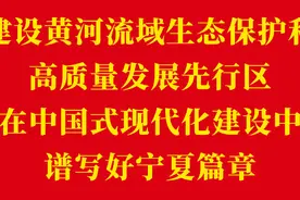 大地流彩·宁夏和美乡村第二届篮球赛（村BA）在永宁县闽宁镇开幕图片