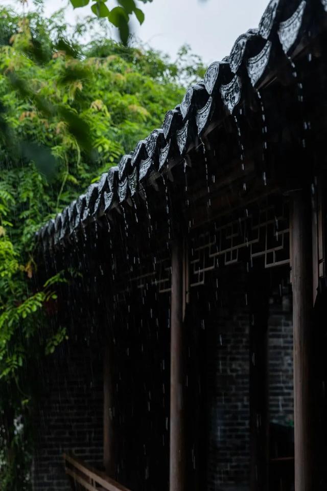 再 致 盐 城