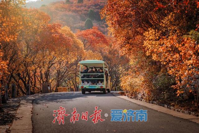 在红叶谷邂逅秋日里的色彩诗篇