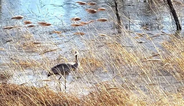 北京冬日限定“奇观”！就到月底！快冲→