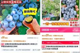 爆单卖空！今春销量暴涨246%！老板忙坏：每天卖掉一整车……图片
