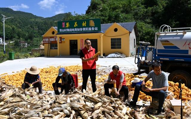 湖北郧阳：青山村的“云端突围”