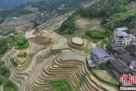 （乡村行·看振兴）广西龙脊梯田：背篓变迁见证千年农耕传统魅力图片