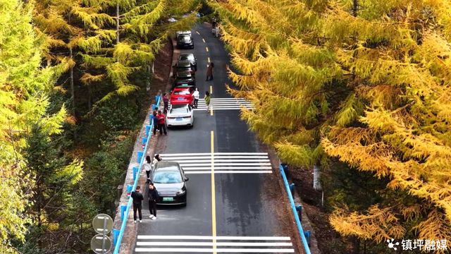 陕西镇坪县：红叶铺展生态长卷 深山小城焕发文旅活力