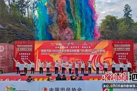 自贡半程马拉松：6000名跑者激情开跑图片