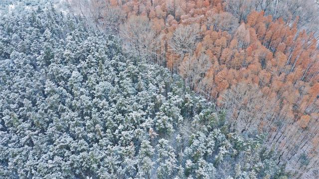 湖北景区绝美雪景，宛如走进童话世界
