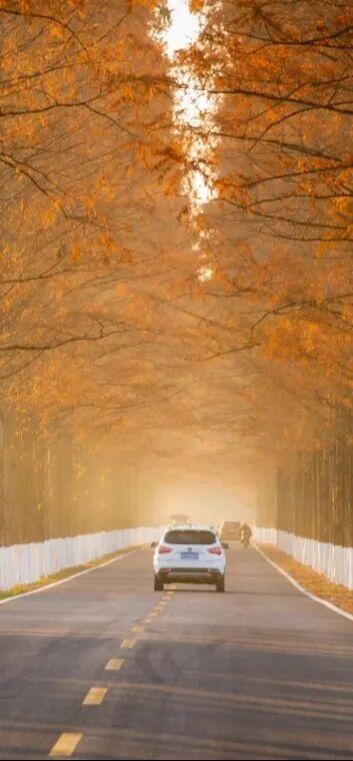 浙江这两条线路入选中国公路学会“2025年度自驾游精品线路”，一起来关注！