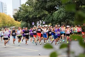 “流氓兔”入侵马拉松图片