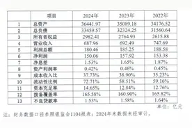 广发银行2024年营收净利润均有所下降图片