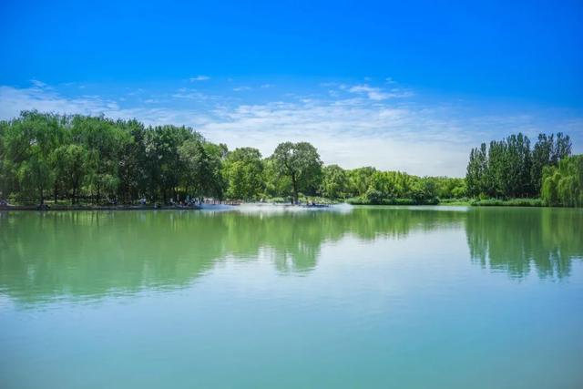 薄雾飘散！海淀这个公园，开启“仙境”模式