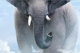 苍穹巨灵·西双版纳篇图片