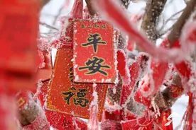 邂逅泰山雾凇奇观 游人沉醉琉璃世界图片