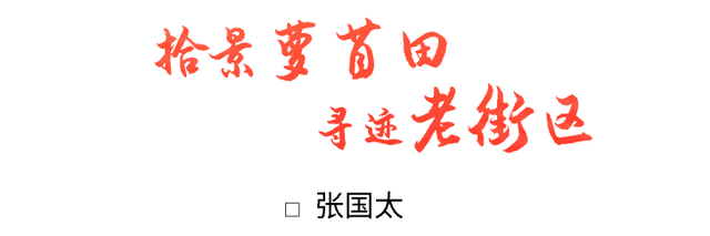 印象萝苜田 | 邀你拾景萝苜田