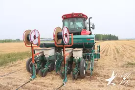 藏粮于技：滴灌铺进田，省下六成水图片