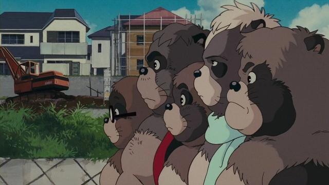 不敢去日本的游客，被现实版“熊出没”吓坏了