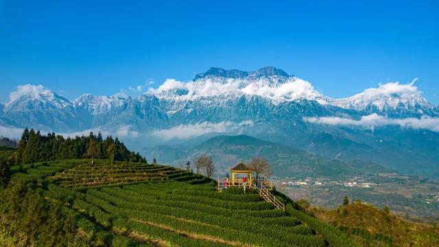 “蓝天幸福感”拉满的峨眉，真的不一样了！