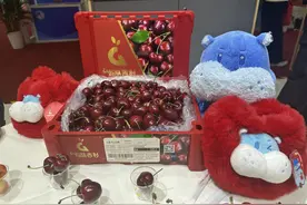 买车厘子不能只看几个J，还得看这三个指标图片