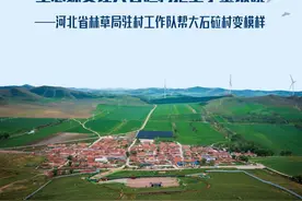 生态蝶变让大石砬村抱上了金饭碗——河北省林草局驻村工作队帮大石砬村变模样图片