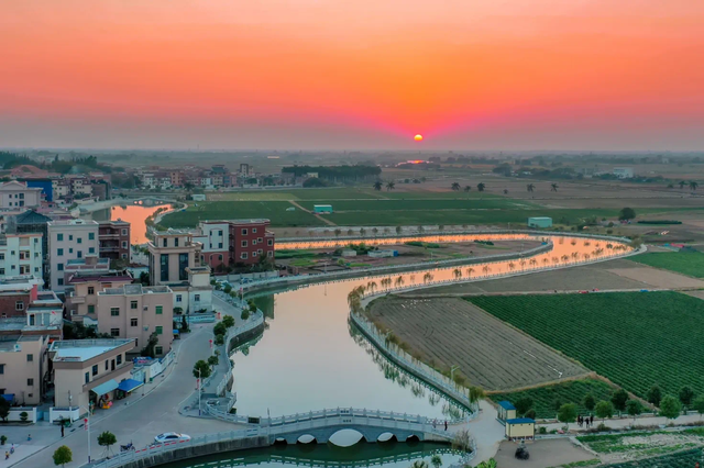 花海走起！湛江秋日限定打卡点！