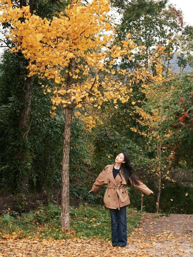 来宣恩矅天眼，看万山红遍，层林尽染！