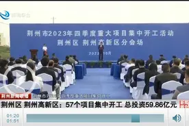 荆州区、荆州高新区：57个项目集中开工 总投资59.86亿元图片