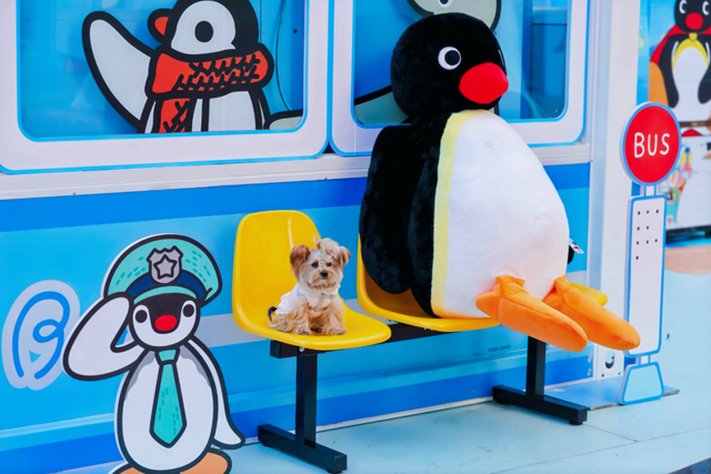 Pingu极光冒险岛空降，上海久光中心开启4周年庆盛典，这个周末将有……