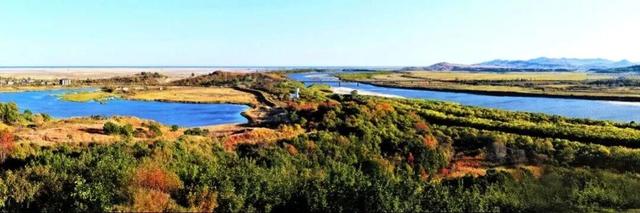 藏不住啦！延边这些“顶流”都是秋色巅峰