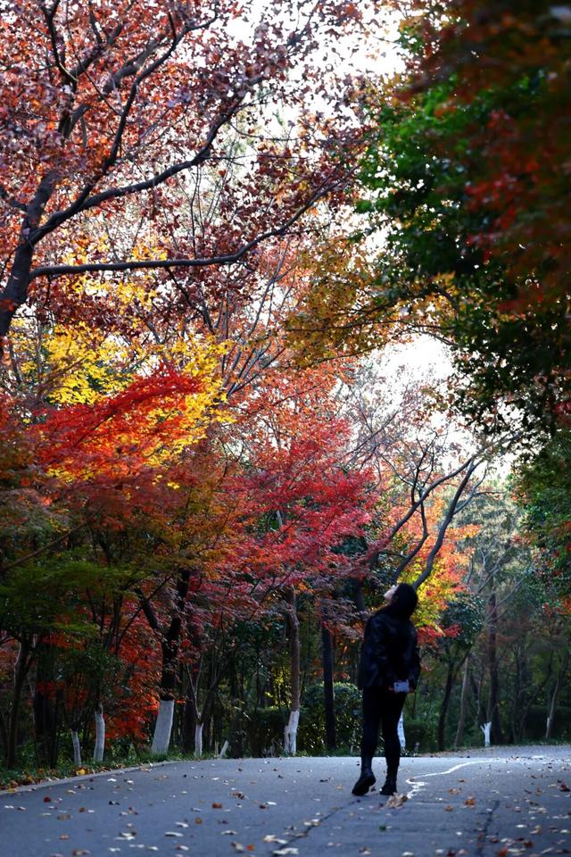 中大路 “红” 了！本周 C 位遛弯地预定！