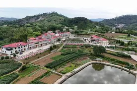 真的没想到，“中国轻钢活动板房第一村”竟是湖北团风县淋山河镇九仙山村图片