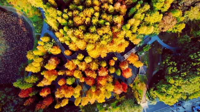 人人人人人!今天常州热度爆了