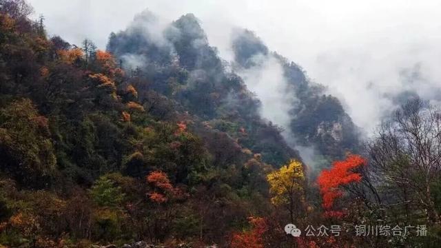 封山控峪！陕西这些景区临时闭园