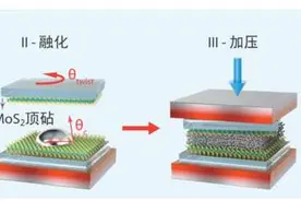 我国科学家成功制备单原子层金属 厚度仅为头发丝直径二十万分之一图片