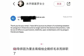 “导师辞职去给企鹅织毛衣了”，网友：这是今天看到最可爱的事情图片