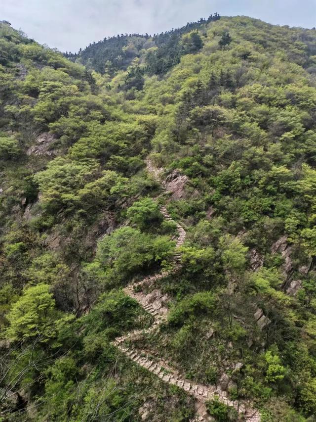 一场雪后，合肥太美了！